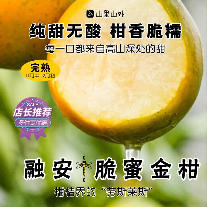 广西融安第三代脆蜜金桔新鲜采摘脆甜无籽纯甜无酸水果顺丰包邮