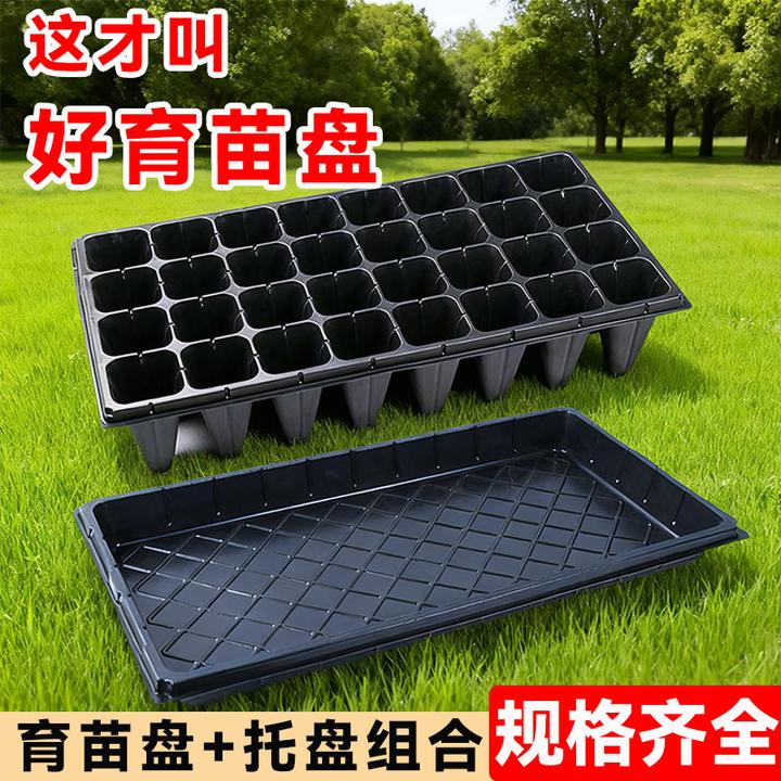 育苗盘穴盘塑料杯种植神器育苗盆玉米扦插发芽豆芽家用草莓播种