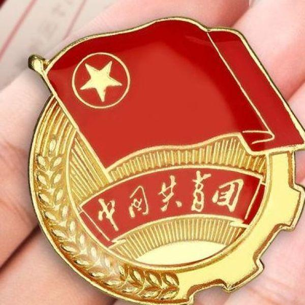 标准型中国共青团团徽团员徽章中央监制学生胸针别针磁铁新版批发