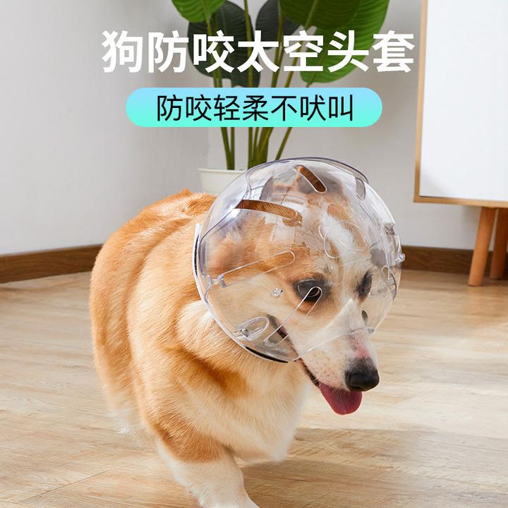 【宠大条】狗狗头套太空防咬透气宠物项圈塑料猫咪头罩宠物用品