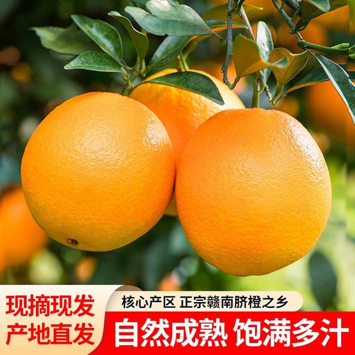 江西正宗赣南脐橙新鲜产地直发健康美味皮薄多汁5斤/10斤精品大果
