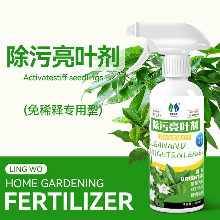【除污亮叶剂】室内花卉植物通用叶片污垢清洁一喷净免稀释增艳明亮