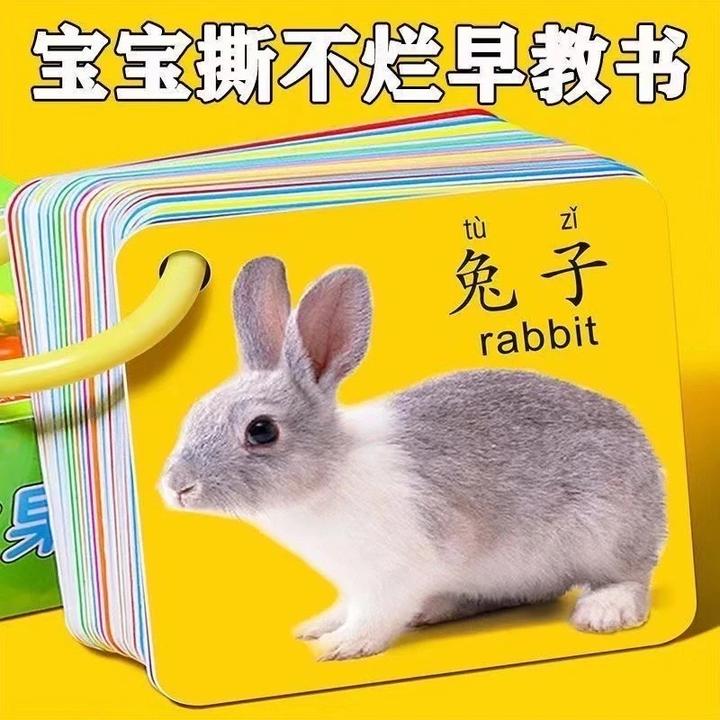 宝宝认知卡片0-3岁看图识认物早教创意玩具卡片幼儿五官数字书