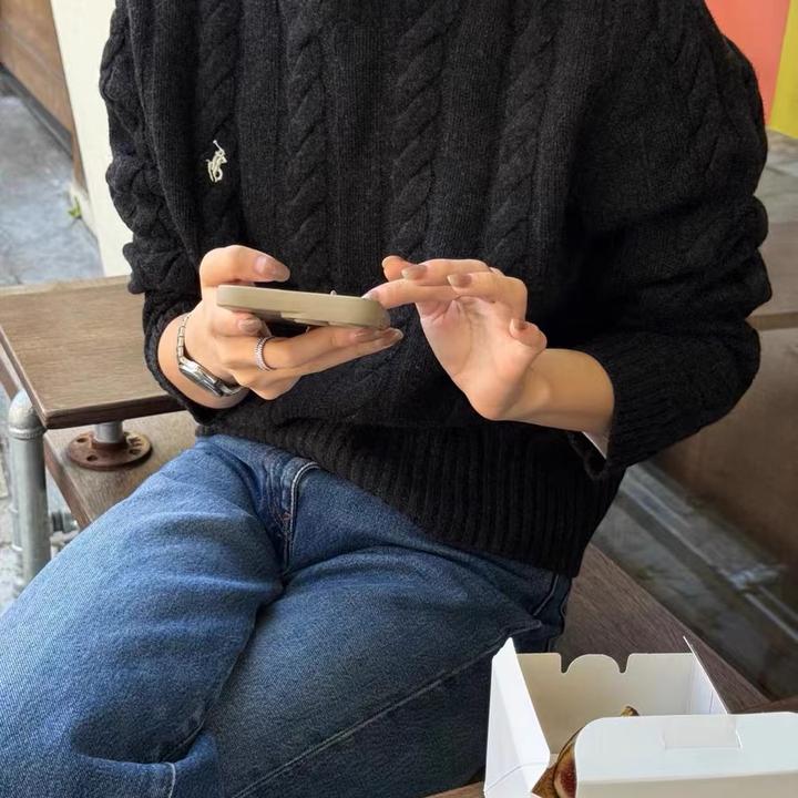 100%羊毛！麻花小马刺绣圆领宽松套头毛衣 Z998