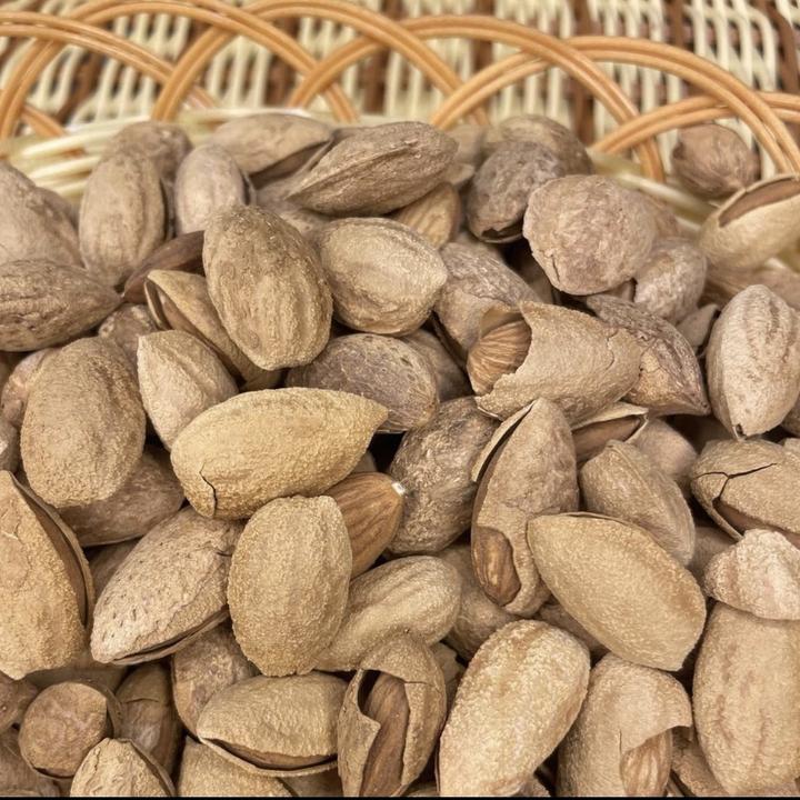 原味纸皮巴旦木大颗粒饱满口感好