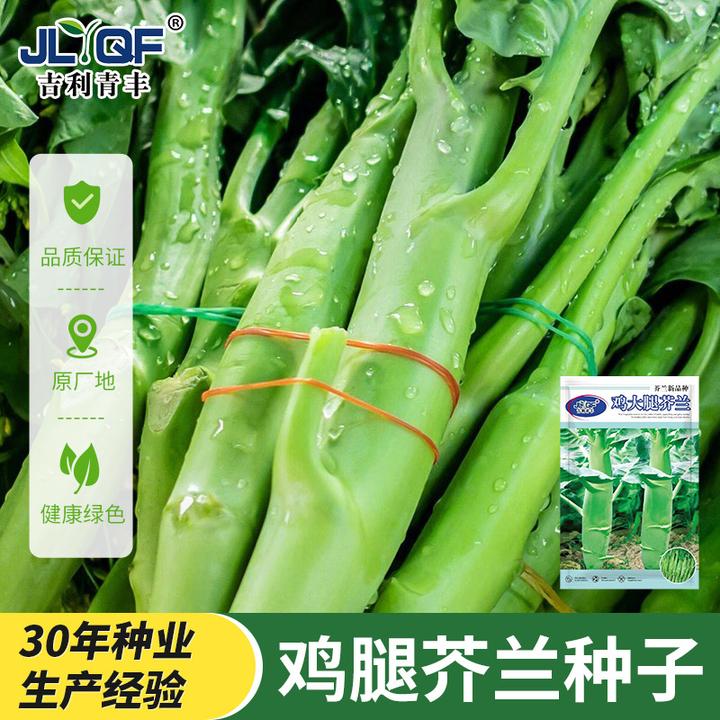【鸡腿芥兰种子】芥兰菜种籽甜芯绿芥蓝种孑四季蔬菜籽