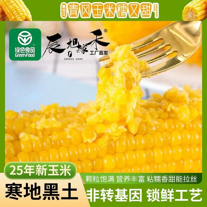 2025年新玉米黑龙江青冈绿色食品黄甜糯玉米220-240克试吃两支