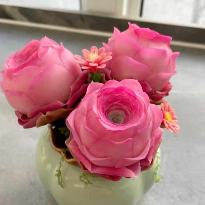 山地玫瑰群生多多肉植物紫色玫瑰室内阳台办公室盆栽好养包邮