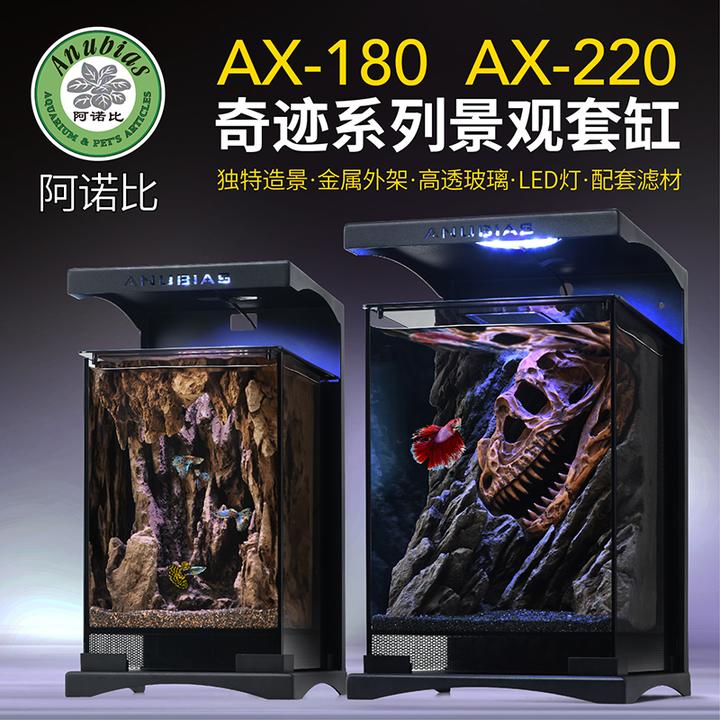 【李晨nic专属】阿诺比 造景超白斗鱼缸小型热带鱼桌面生态超白缸