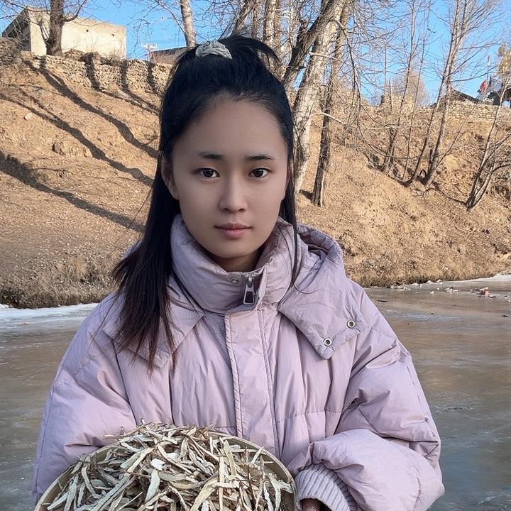 当归身切片（股片）