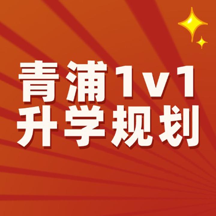 青浦1v1升学规划