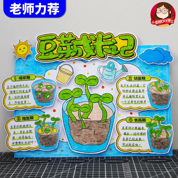自制豆芽成长记手抄报植物生长观察日记小学生记录手工立体粘贴画