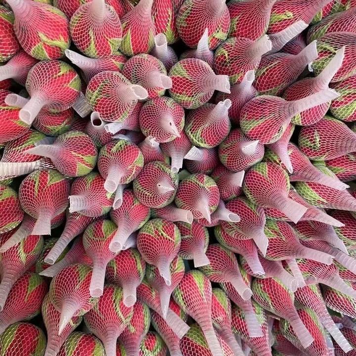云南基地金典红色玫瑰卡罗拉玫瑰花鲜花花束水养插花速递包邮