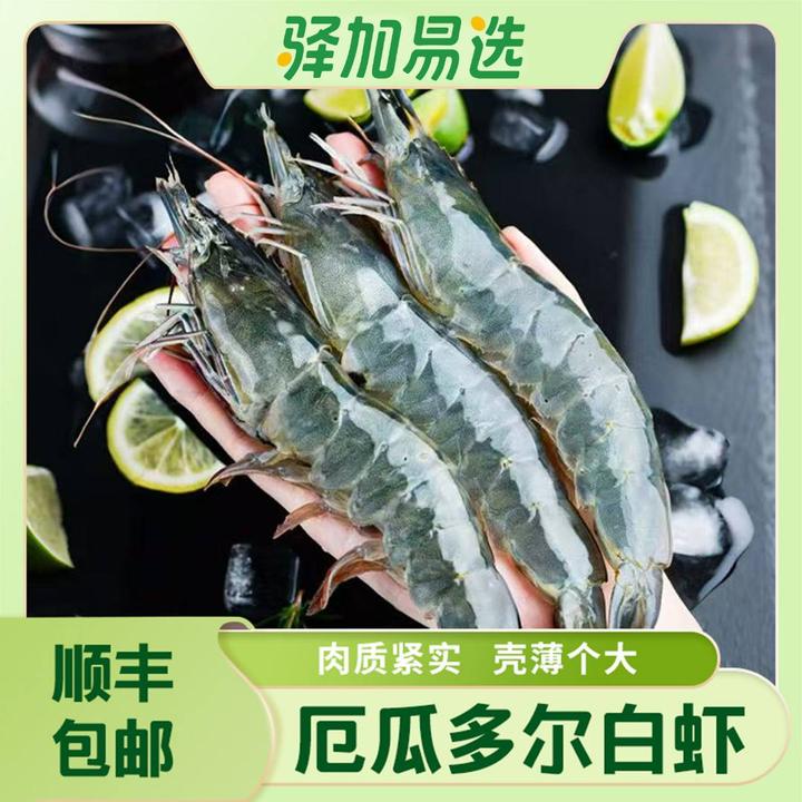 【厄瓜多尔白虾】新鲜盐冻大虾单只冷冻锁鲜1.65KG/盒