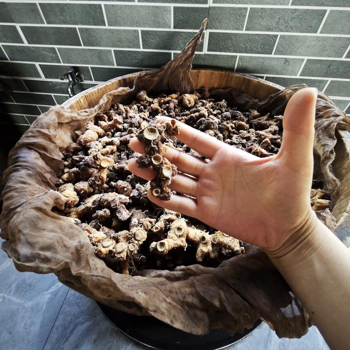 【山村阿龙专属】野货福建仙人余粮九蒸九晒7-20年农产品山姜可煲汤