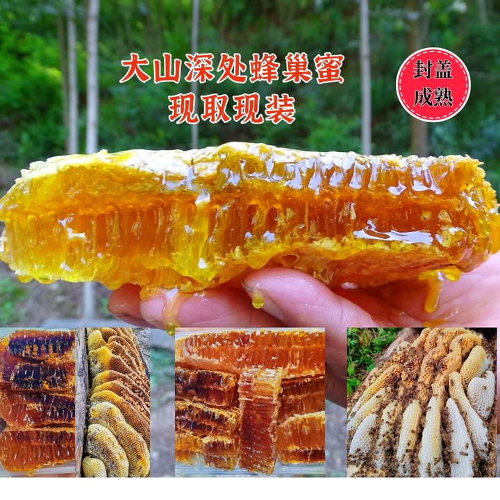 秦岭土蜂蜜农家土蜂蜜（现取现装）—蜂巢蜜