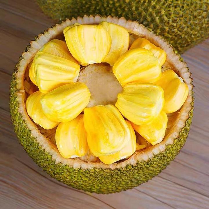 海南三亚黄肉菠萝蜜当季特产新鲜水果整果优质天然波罗蜜