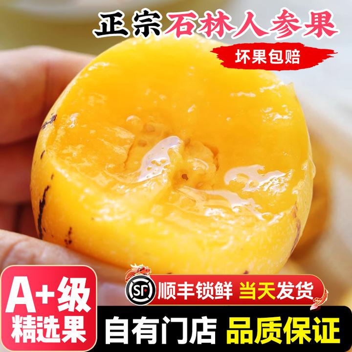 【直播专享】正宗云南石林树上熟人参果水果大果新鲜现摘黄肉顺丰