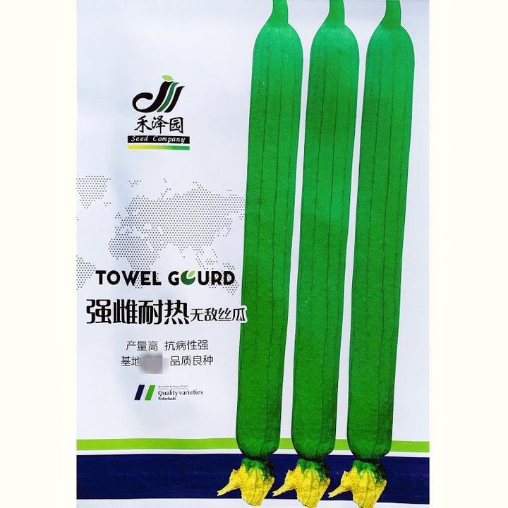 强雌耐热无敌丝瓜种子春秋种植特长丝瓜早熟节节有瓜长香丝瓜种籽