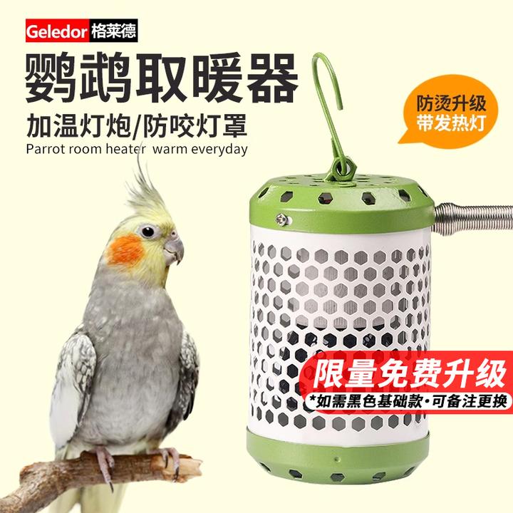 冬季鹦鹉保温灯牡丹玄凤鹦鹉保暖灯温控器鸟窝加温灯过冬神器暖窝