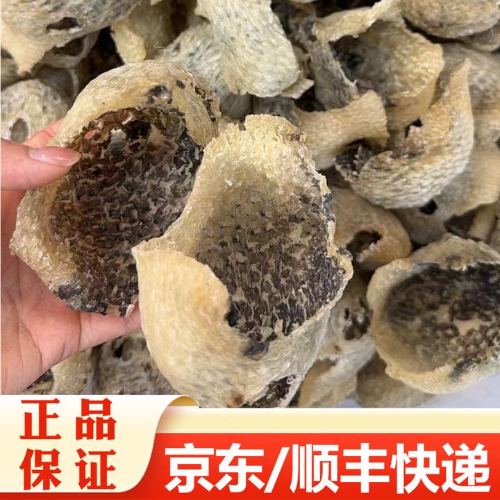 【精选】25头刺龟鱼皮