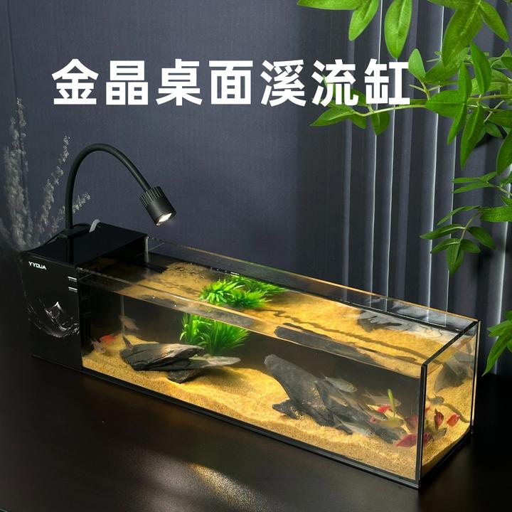 【溪流缸造景全套】金晶超白家用桌面养鱼溪流缸造景生态循环过滤缸