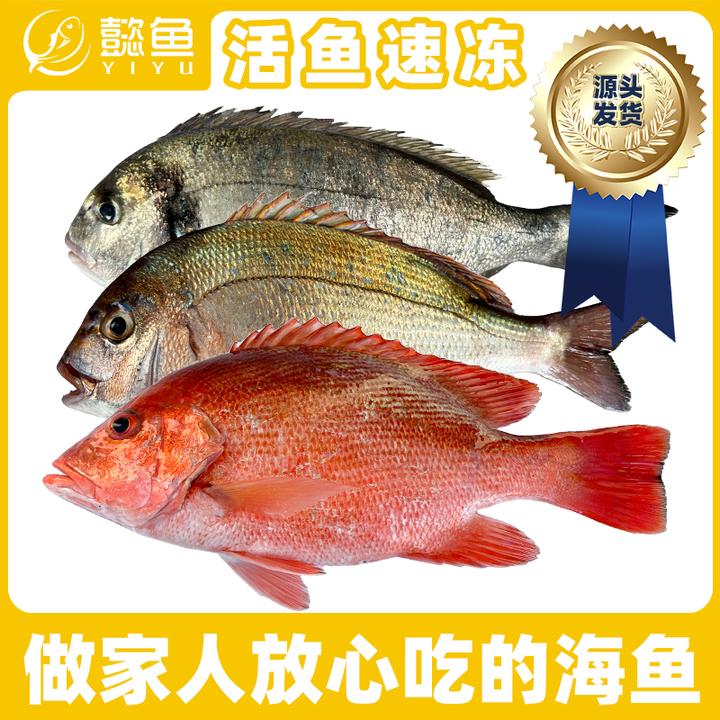 【南海生态鲷鱼组合】海鲜日料家宴首选蓝点/金头/红真鲷到手4斤3条