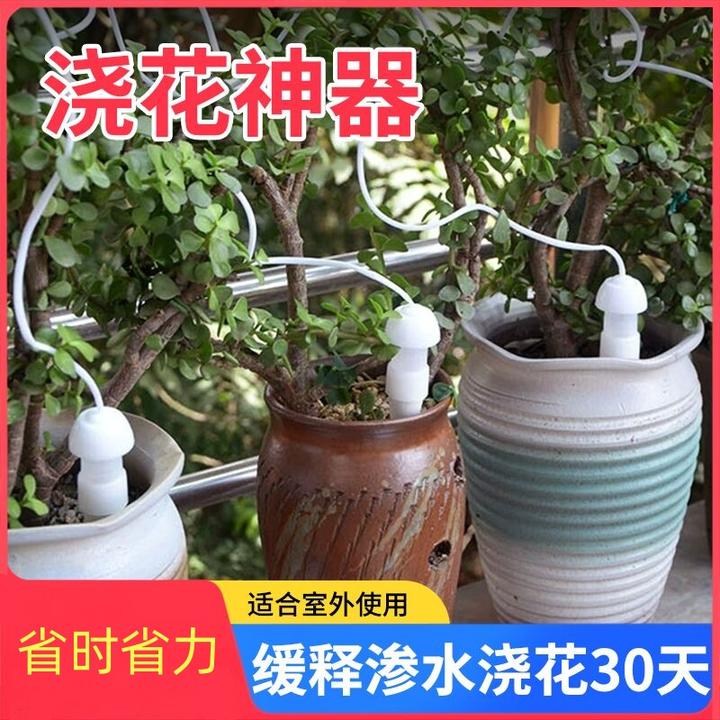 出差自动定时浇花器淋花滴水器喷头滴灌系统浇灌器懒人自动浇水器