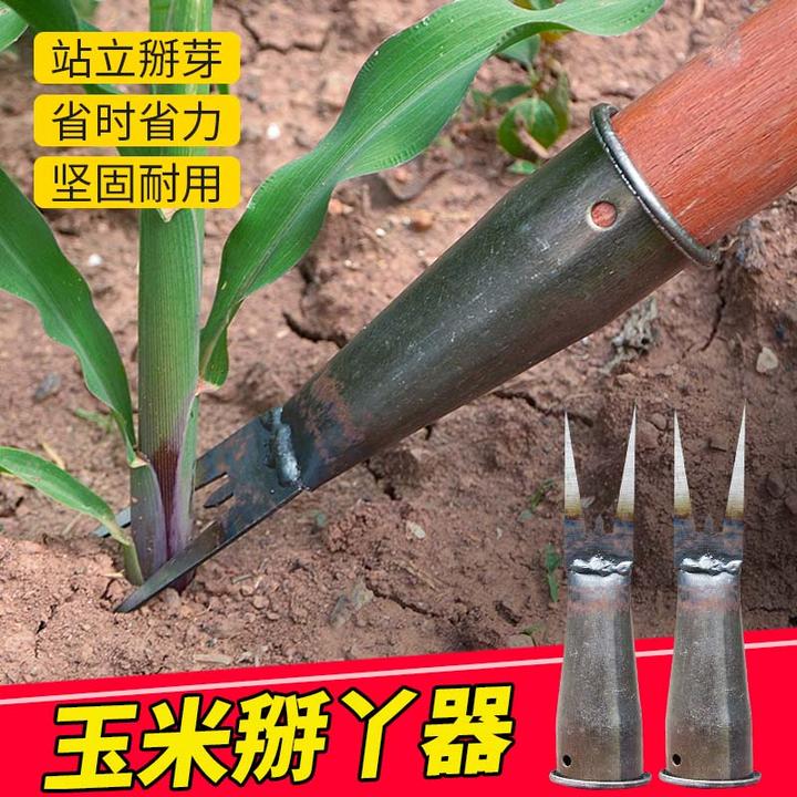 掰玉米丫子神器玉米杆除苗打叉农用不弯腰苞米红薯掐碗专用工具