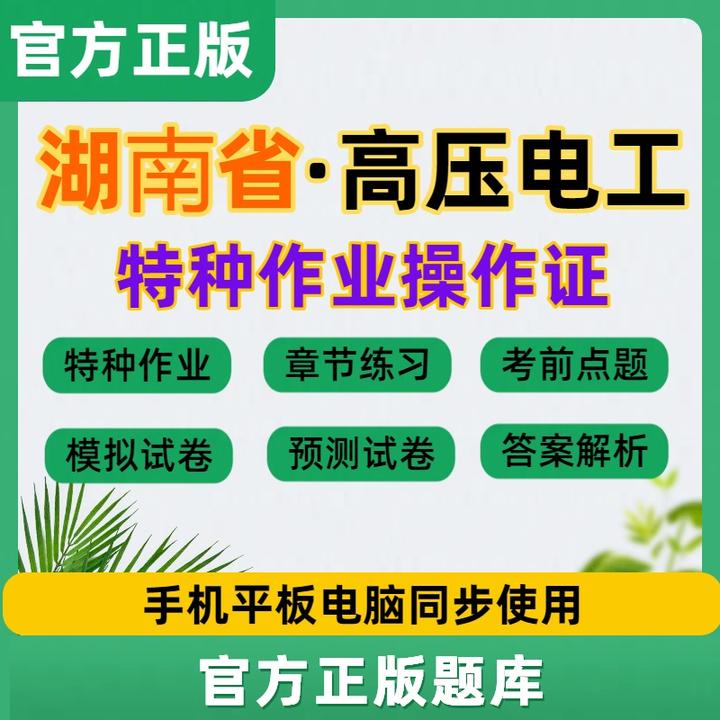 2026年高压电工湖南省特种作业操作证考试练习模拟电工证考试题库