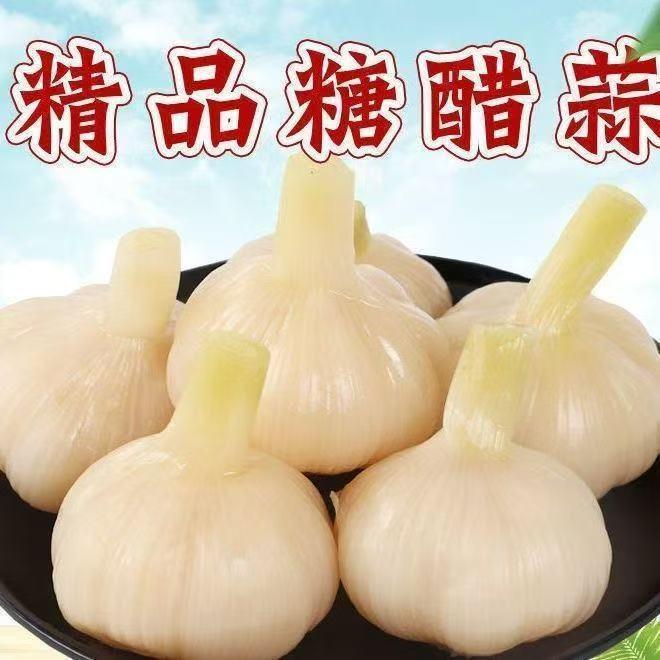 糖蒜酸甜水晶蒜头优选固始糖醋大蒜正宗泡菜饭菜腌制酱菜