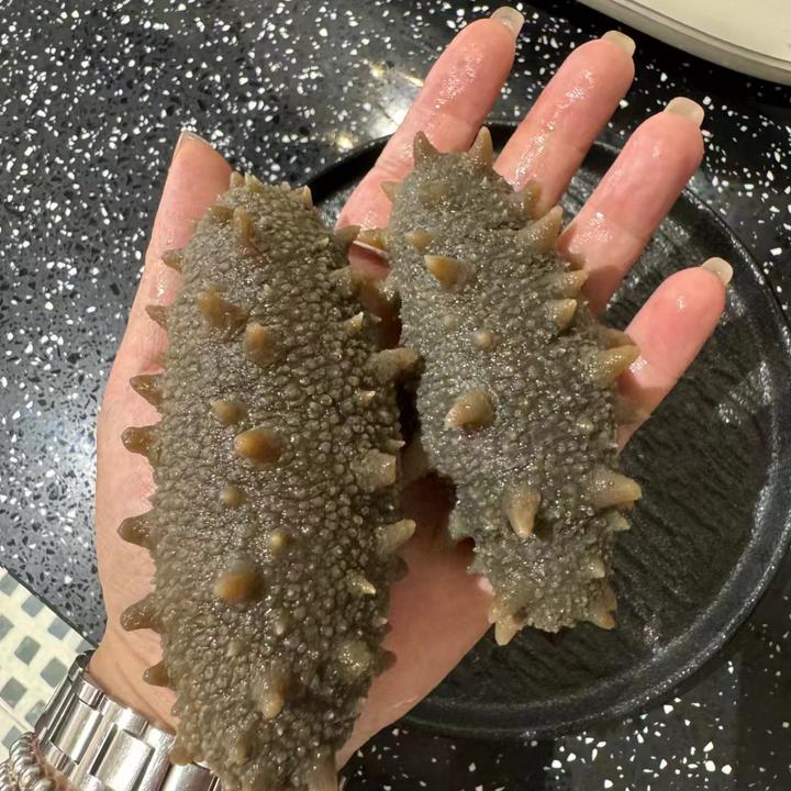 现货挑选直发即食海参口感Q弹 单只独立装顺丰包邮大连海参海鲜