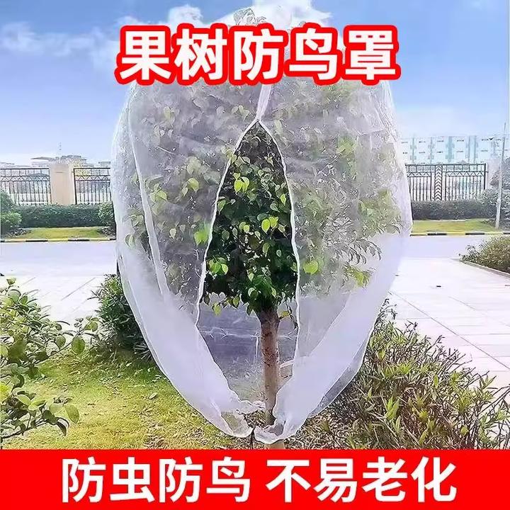 果树防虫网罩网袋莲雾樱桃蓝莓杨梅蔬菜花卉绿植防鸟防虫网抗老化