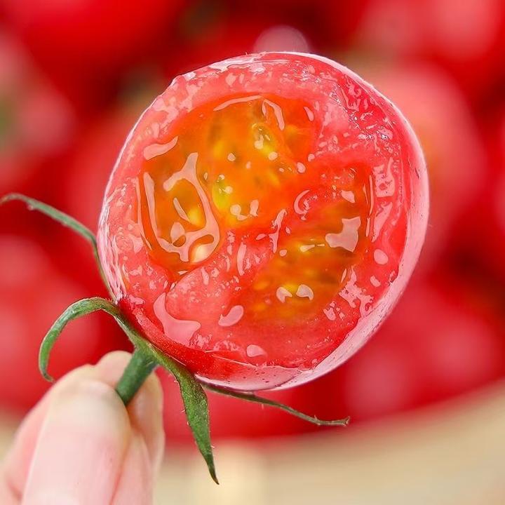 重庆大足樱桃小番茄酸甜可口脆嫩自然成熟现摘新鲜夏天水果3斤