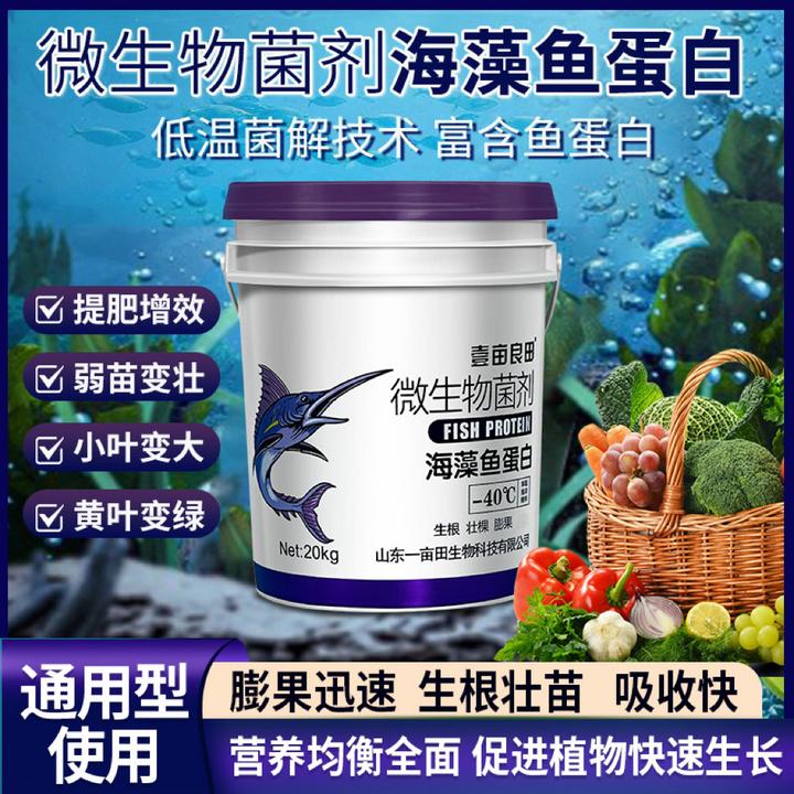 海藻鱼蛋白有机水溶桶装农资生根壮苗抗病海藻鱼蛋白水溶肥膨果肥
