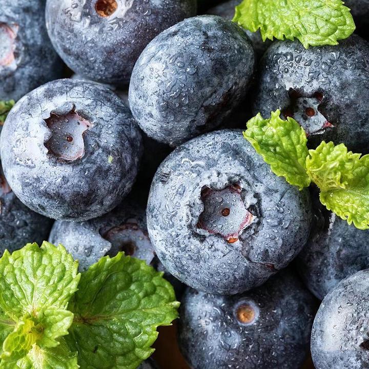 【京东空运】云南抚仙湖L25现摘云南花香蓝莓脆甜多汁