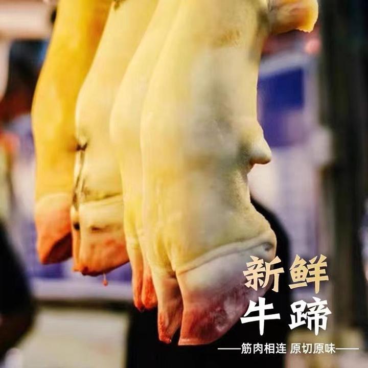 【新鲜正宗】河南南阳黄牛黄牛蹄