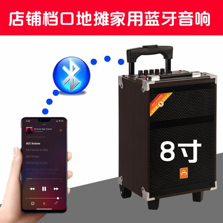 8寸店铺店面档口家用蓝牙户外音响唱歌K歌广场舞便携式蓝牙音箱