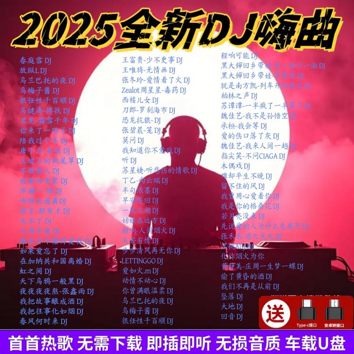 【2025全新热门DJ嗨曲】经过调音师专业调校即插即用U盘金属小巧