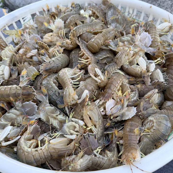 码头现场改价顺风包邮