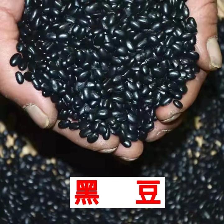 东北小黑豆5斤1袋