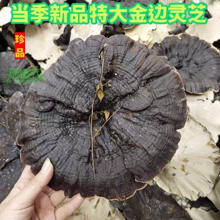 优选特产长白山整枝黑灵芝煲汤煮水泡酒佳品