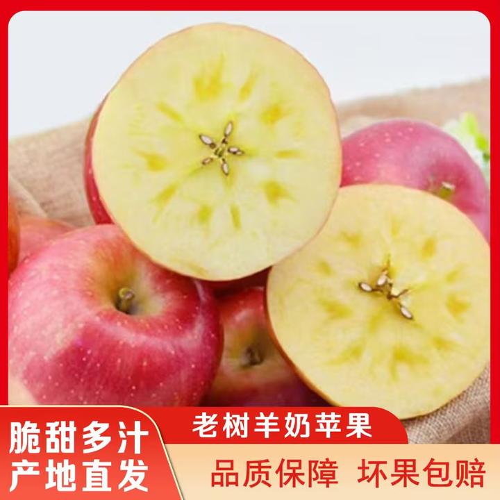 【坏果包赔】山西爆汁羊奶苹果冰糖心丑苹果新鲜现摘脆甜多汁鲜果