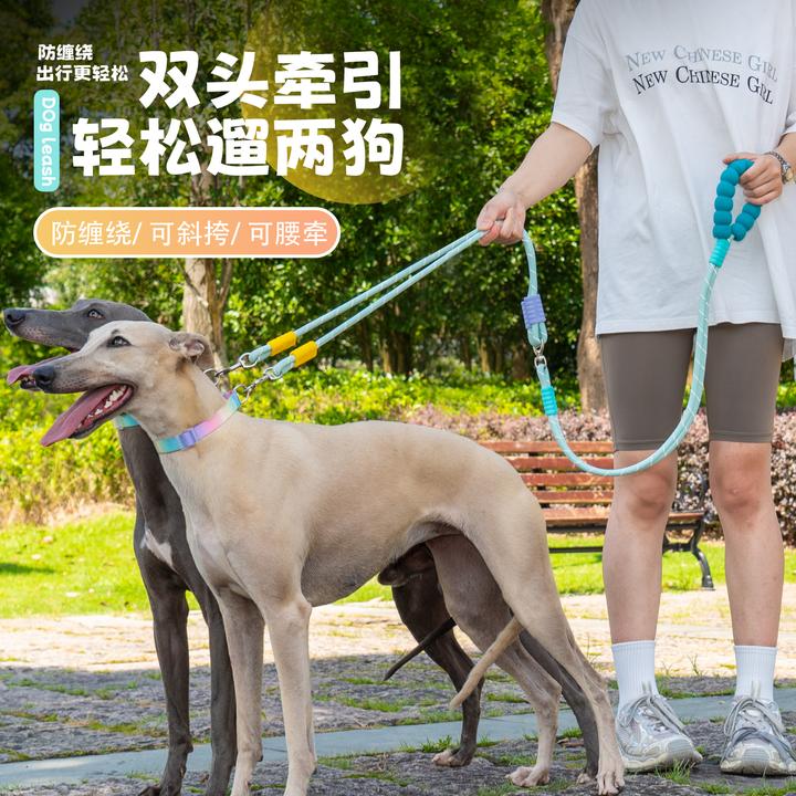 狗狗牵引绳一拖二防缠绕遛狗绳双头两只狗外出斜挎腰牵多功能绳子