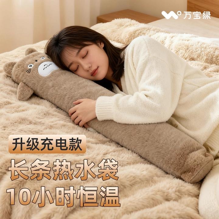 成人长条充电热水袋龙猫款居家护腰靠垫暖手暖脚安全防爆长条款