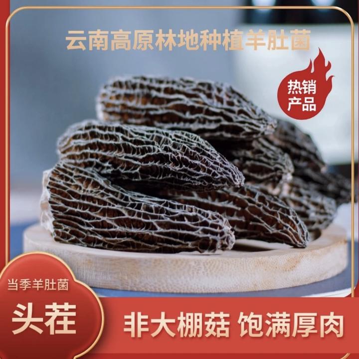 羊肚菌云南山货林地种植羊肚菌2025年头茬新货肉质厚实菌香浓郁