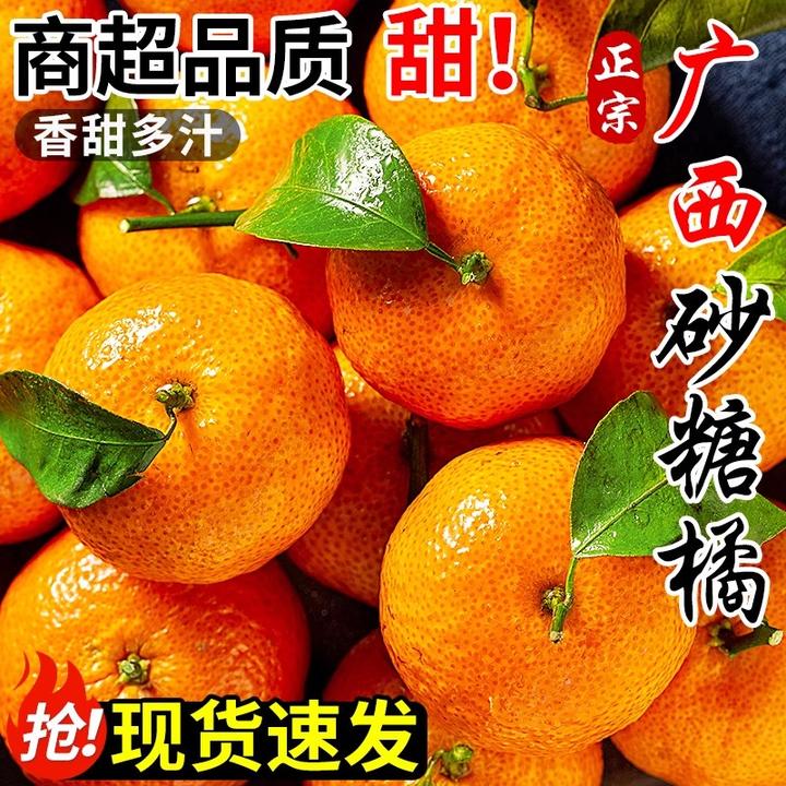 正宗广西砂糖橘桔新鲜水果香甜可口应季美味现摘现发无籽纯甜无酸