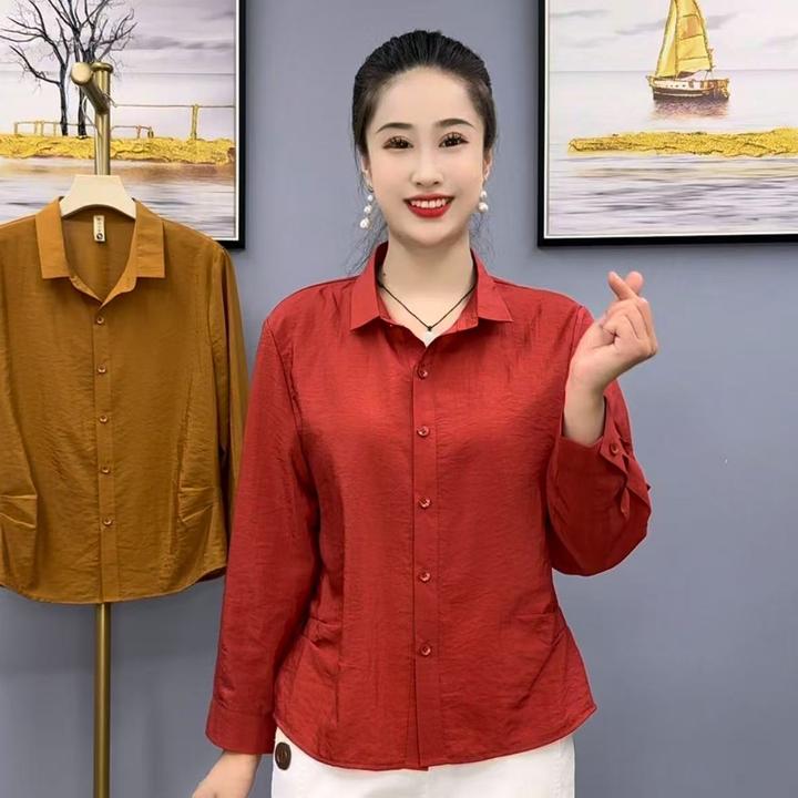 早秋新款时尚洋气百搭气质遮肉显瘦衬衣长袖衬衫513款