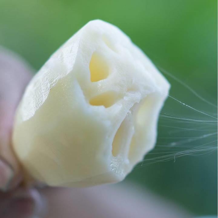 新鲜现挖花藕生吃洪湖嫩莲藕脆嫩清甜当日现挖湖北新鲜莲藕带泥