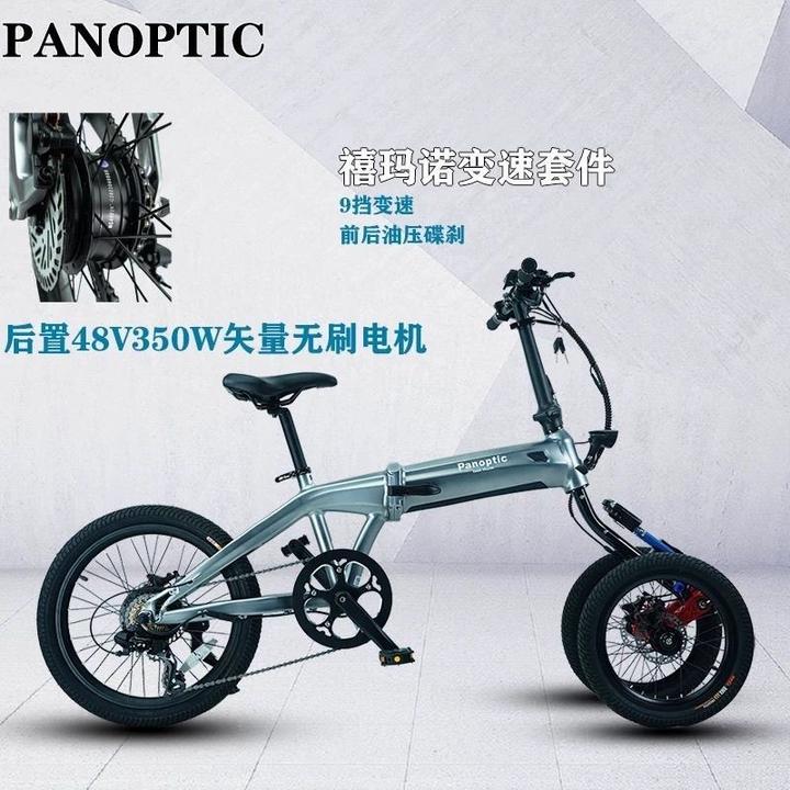 派克2025款后置倒三轮自行车